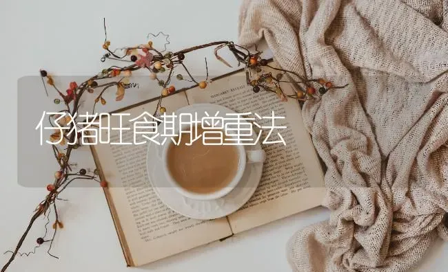 仔猪旺食期增重法 | 家畜养殖