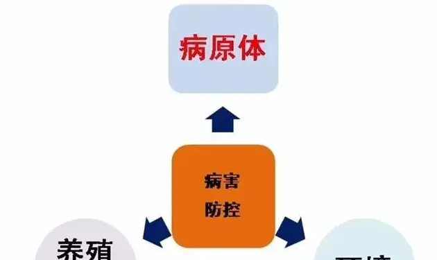 干货！掌握消毒时机到底有多重要？