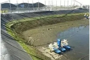 水产养殖户培水培藻的必要性和方法介绍