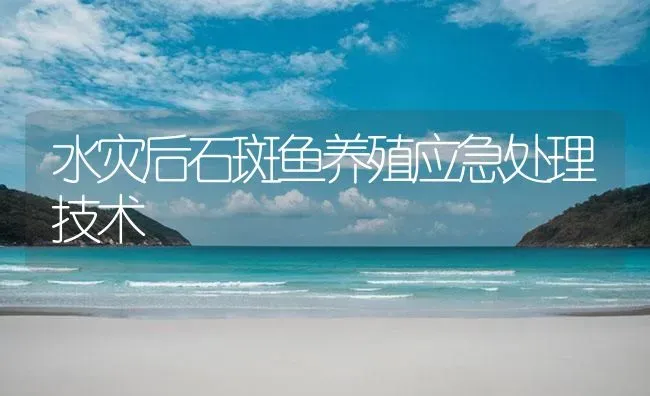 水灾后石斑鱼养殖应急处理技术 | 海水养殖