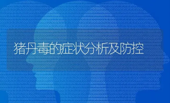 猪丹毒的症状分析及防控 | 家畜养殖