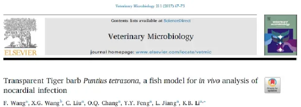 论文解读--透明虎皮鱼作为一种鱼类模型分析诺卡氏菌体内感染