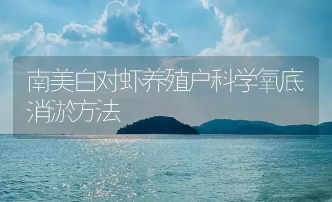 南美白对虾养殖户科学氧底消淤方法 | 海水养殖