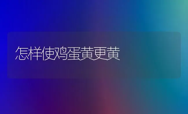 怎样使鸡蛋黄更黄 | 家禽养殖