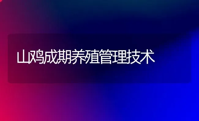 山鸡成期养殖管理技术 | 家禽养殖