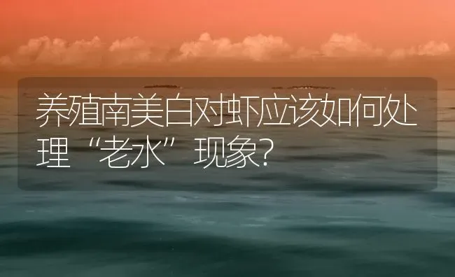 养殖南美白对虾应该如何处理“老水”现象？ | 海水养殖