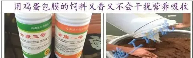 南美白对虾的后盲囊有什么生理功能？