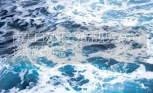 南美白对虾养殖常见疾病的诊断及防治 | 海水养殖