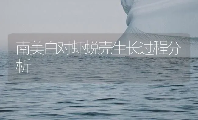 南美白对虾蜕壳生长过程分析 | 海水养殖