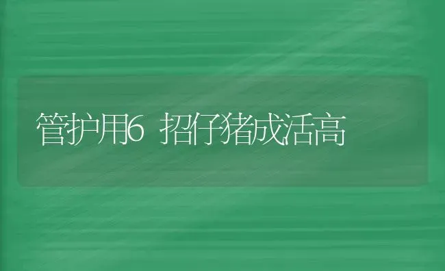 管护用6招仔猪成活高 | 家畜养殖