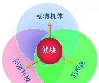 传统保健模式VS内保健模式，你选择哪种防病模式？