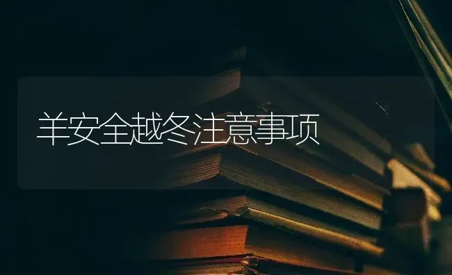 羊安全越冬注意事项 | 家畜养殖