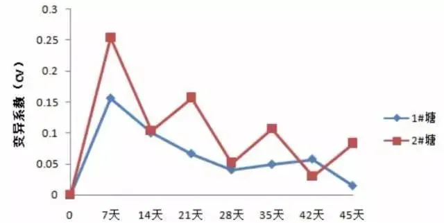 两种不同管理方法对虾生长情况的比较