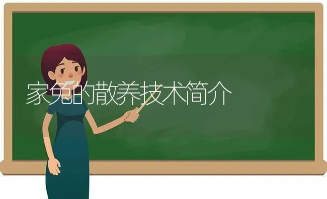 家兔的散养技术简介 | 家畜养殖