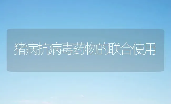 猪病抗病毒药物的联合使用 | 养殖病虫害防治