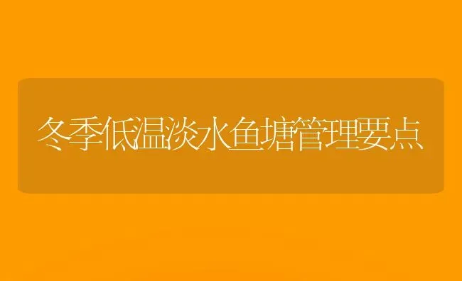 冬季低温淡水鱼塘管理要点 | 淡水养殖