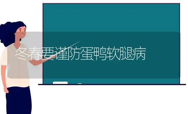 冬春要谨防蛋鸭软腿病 | 家禽养殖