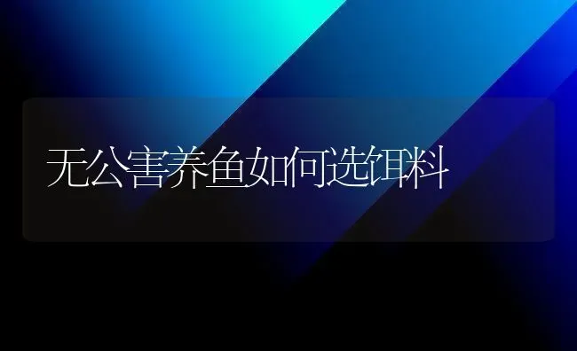 无公害养鱼如何选饵料 | 动物养殖饲料