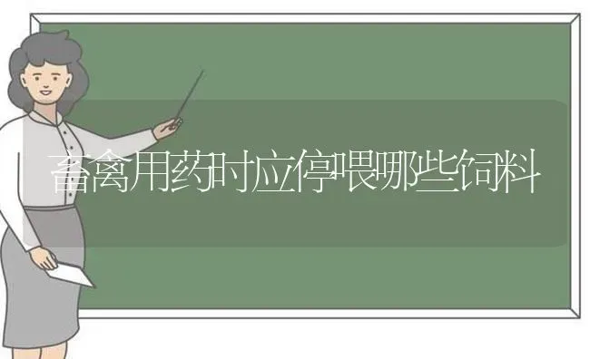 畜禽用药时应停喂哪些饲料 | 养殖病虫害防治