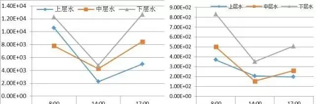 想出热水鱼又怕死鱼？请重视消毒剂的选择