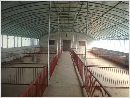 猪舍消毒误区及怎么消毒呢 | 养殖技术