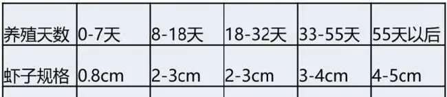 养殖罗氏沼虾如何做到成功率90%以上，亩利润5000+