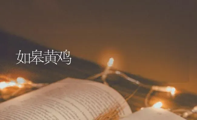 如皋黄鸡 | 家禽养殖