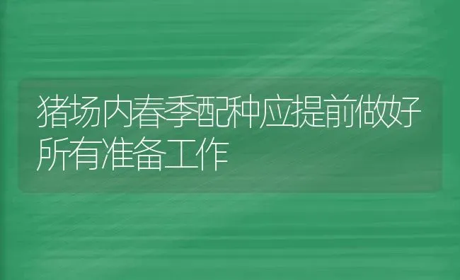 猪场内春季配种应提前做好所有准备工作 | 家畜养殖