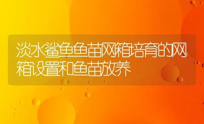 淡水鲨鱼鱼苗网箱培育的网箱设置和鱼苗放养 | 特种养殖