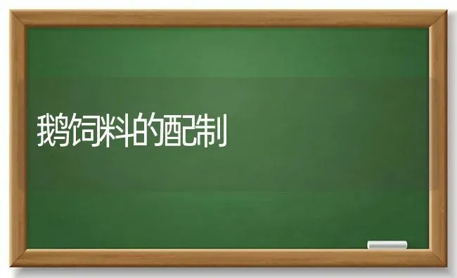鹅饲料的配制 | 家禽养殖