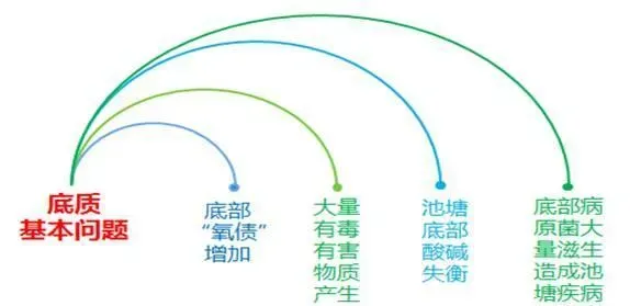 水产养殖户必问的10个问题，不信你试试