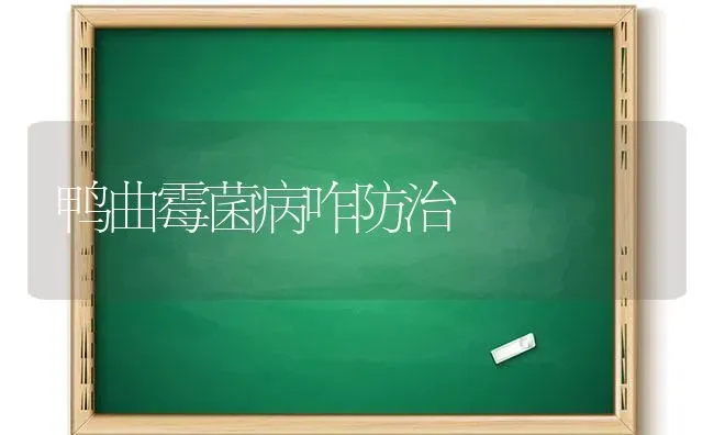 鸭曲霉菌病咋防治 | 家禽养殖