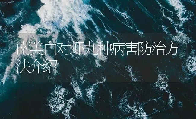 南美白对虾九种病害防治方法介绍 | 海水养殖