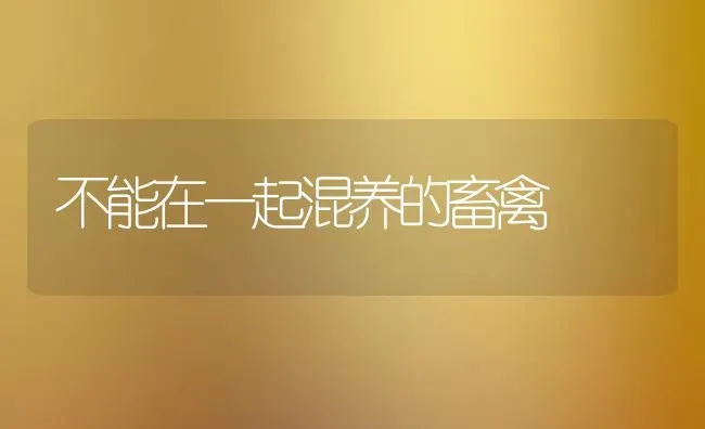 不能在一起混养的畜禽 | 家禽养殖