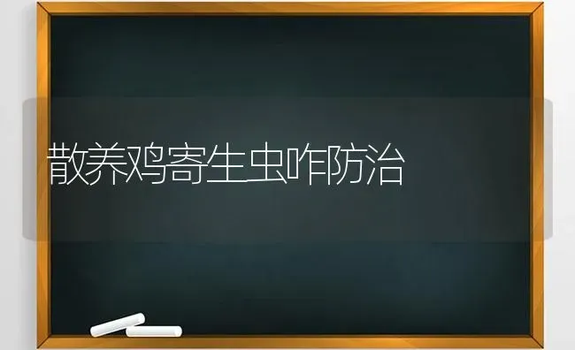 散养鸡寄生虫咋防治 | 家禽养殖