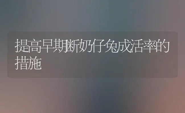 提高早期断奶仔兔成活率的措施 | 家畜养殖