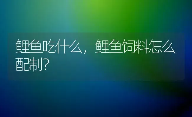 鲤鱼吃什么，鲤鱼饲料怎么配制？ | 动物养殖饲料