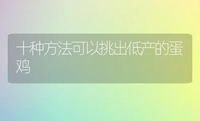 十种方法可以挑出低产的蛋鸡 | 家禽养殖