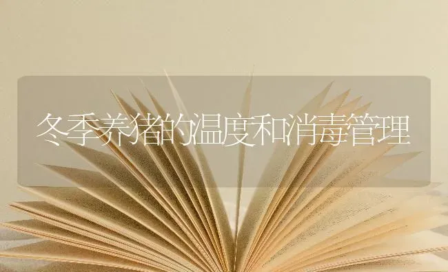 冬季养猪的温度和消毒管理 | 家畜养殖