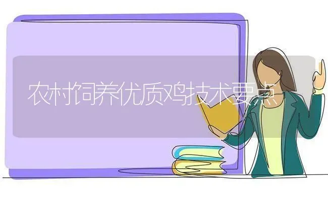 农村饲养优质鸡技术要点 | 家禽养殖