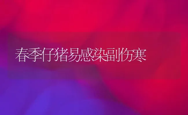 春季仔猪易感染副伤寒 | 家畜养殖