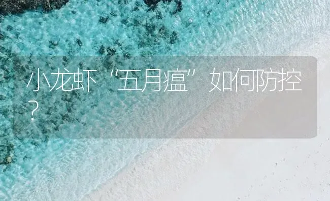 小龙虾“五月瘟”如何防控？ | 海水养殖