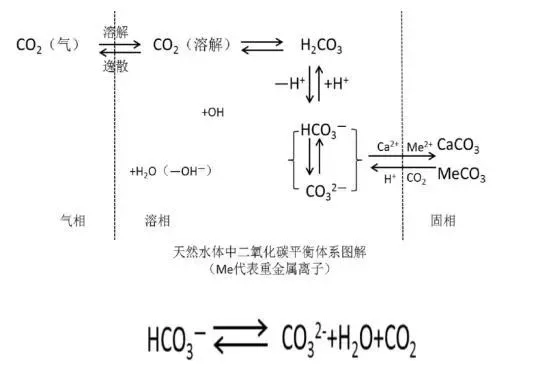 为啥你家河蟹迟迟脱不下“这件外套”？