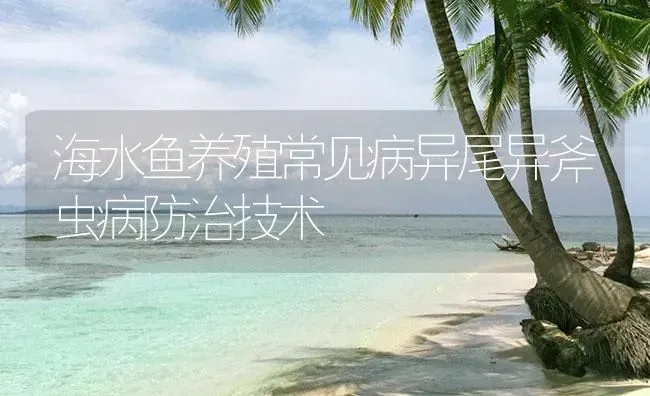 海水鱼养殖常见病异尾异斧虫病防治技术 | 养殖病虫害防治