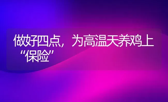 做好四点，为高温天养鸡上“保险” | 家禽养殖