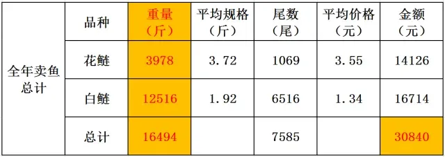 养殖花白鲢鱼如何做到亩产1000斤