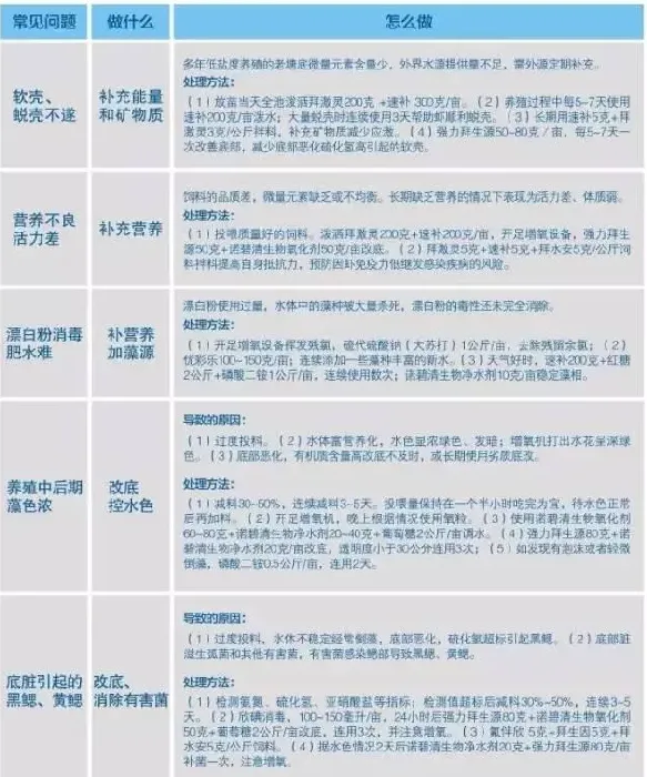 南美白对虾低盐度养殖常见问题及处理方案