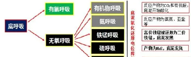 水产养殖户必问的10个问题，不信你试试