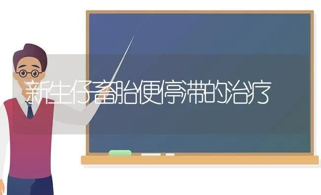 新生仔畜胎便停滞的治疗 | 家畜养殖