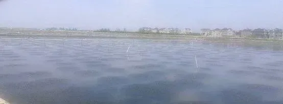 小龙虾河蟹养殖过程中几个热点问题的回答
